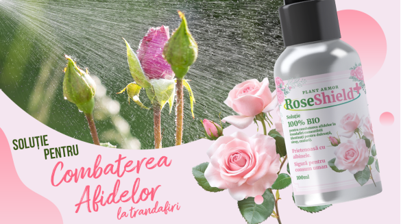 RoseShield
